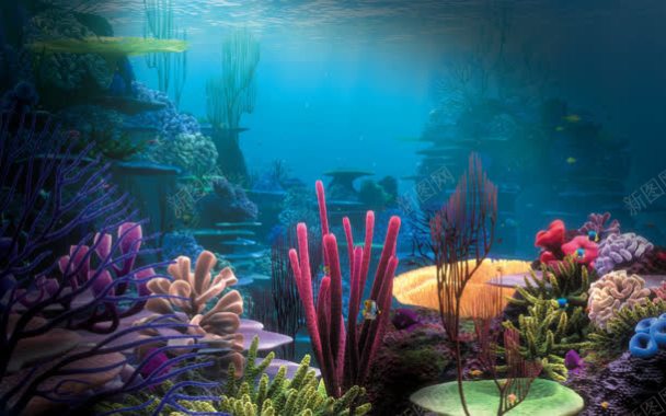 彩色海底生物水藻背景