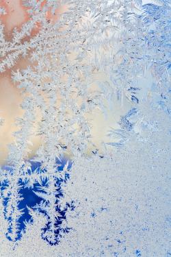 美丽南极雪景冬天冰花高清图片