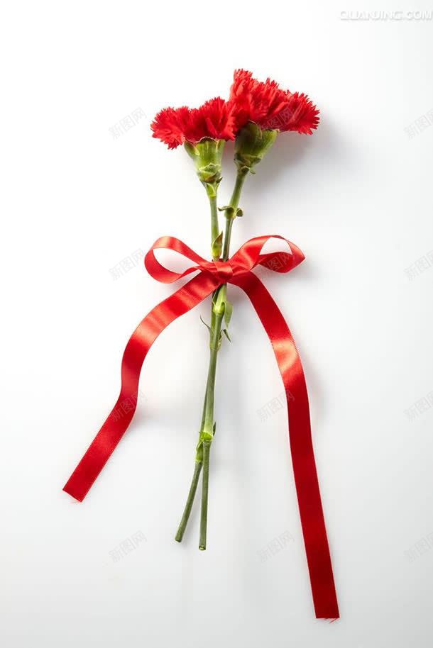 红色蝴蝶结花束花朵jpg设计背景_新图网 https://ixintu.com 红色 花朵 花束 蝴蝶结