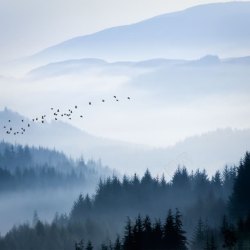 悠悠心语悠悠水墨画风格高山高清图片