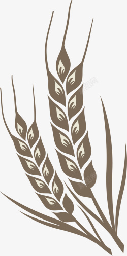 麦金色稻穗农作物麦子图图标高清图片