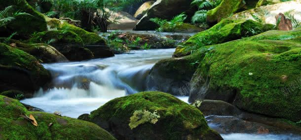 森林中的小溪jpg设计背景_新图网 https://ixintu.com 小溪 水 河流 石头 自然风光