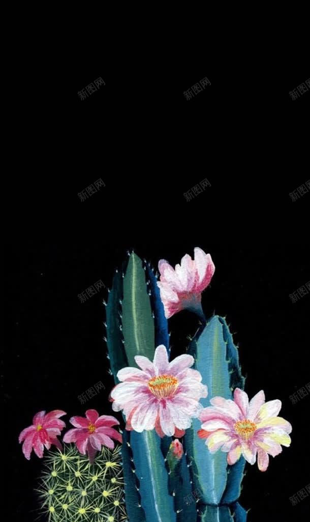 粉色仙人掌花朵花卉jpg设计背景_新图网 https://ixintu.com 仙人掌 粉色 花卉 花朵
