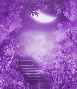 紫色树林月光下的森林美景高清图片