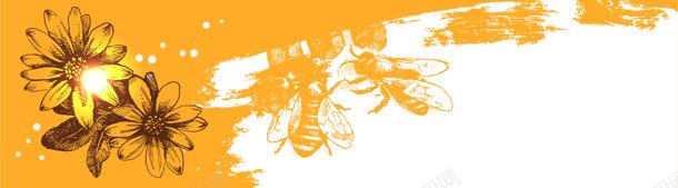 精美蜂蜜元素banner背景jpg设计背景_新图网 https://ixintu.com 卡通画 蜜蜂 黄色背景