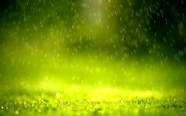 水滴雨滴唯美绿色jpg设计背景_新图网 https://ixintu.com 水滴 绿色 雨滴
