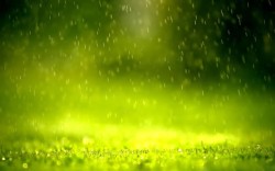 水滴雨滴唯美绿色高清图片