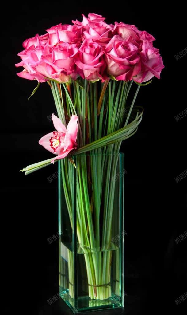 粉色新鲜玫瑰花束jpg设计背景_新图网 https://ixintu.com 新鲜 玫瑰 粉色 花束