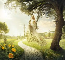 小路唯美唯美婚纱摄影向日葵盛开的小路高清图片