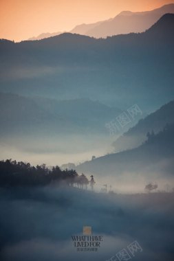 采菊东篱下悠然见南山背景