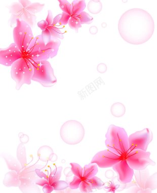 气泡鲜花背景背景