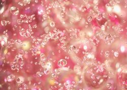钻石水珠粉色花瓣水珠钻石壁纸高清图片