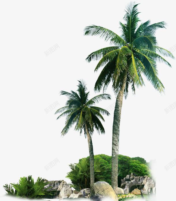 沙滩棕榈树png免抠素材_新图网 https://ixintu.com 棕榈树 沙滩