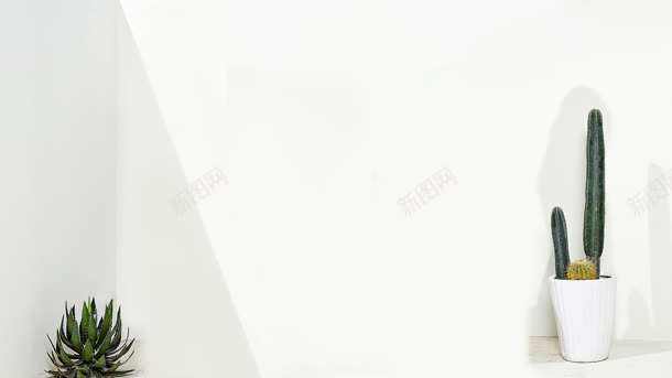 纯色背景绿色植物背景片背景图片免费下载 素材7zxkgqjee 新图网 纯色背景绿色植物背景片背景图片免费下载 素材7zxkgqjee 新图网