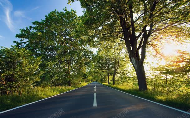 阳光透过树叶照在公路上jpg设计背景_新图网 https://ixintu.com 树叶 路上 透过 阳光