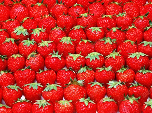 新鲜美味的草莓水果jpg设计背景_新图网 https://ixintu.com 新鲜 水果 美味 草莓