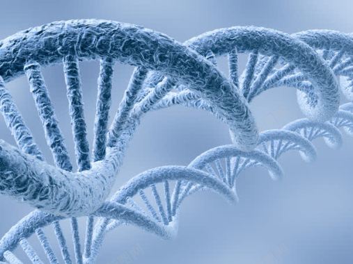 DNA头脑DNA基因结构背景