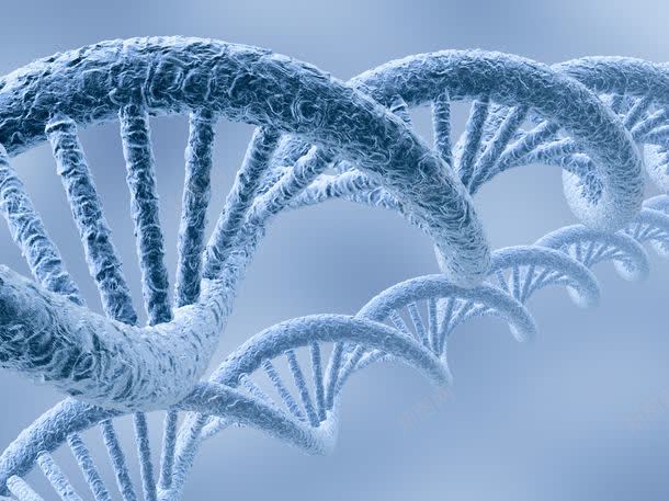 DNA基因结构jpg设计背景_新图网 https://ixintu.com DNA双螺旋结构图片 DNA基因结构 DNA基因结构图片 DNA基因结构图片素材下载 其它类别 医学 医学背景图片 图片素材 生物 背景花边 遗传基因