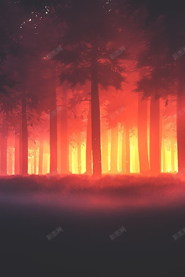 红色夕阳照亮了森林jpg设计背景_新图网 https://ixintu.com 夕阳 森林 照亮 红色