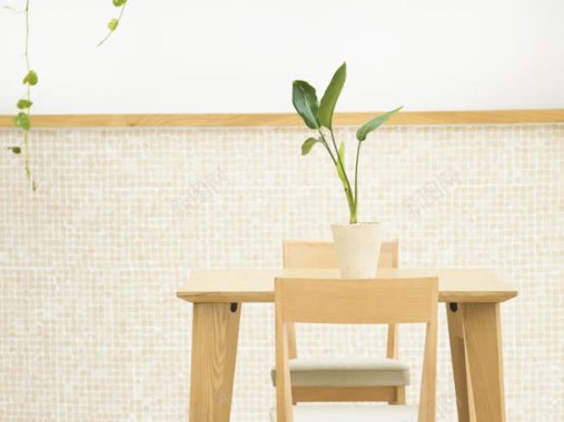 马赛克墙面绿植物木质椅子背景