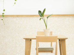 木质墙面马赛克墙面绿植物木质椅子高清图片