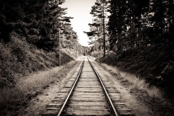 黑白树林铁道铁路背景背景