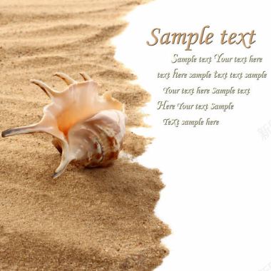 大框太阳镜海螺与沙滩背景