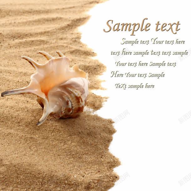 海螺与沙滩jpg设计背景_新图网 https://ixintu.com 图片素材 墨镜 太阳镜 底纹背景 沙子 沙滩背景 海洋海边 海滩 海螺 海螺与沙滩图片 海螺与沙滩图片素材下载 眼镜 背景图片 背景花边