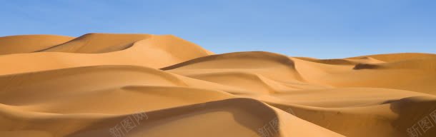 沙漠banner创意jpg设计背景_新图网 https://ixintu.com 1920PX 促销 植物 活动 淘宝 环保 绿叶 风景 鲜花