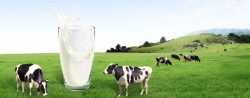 草原海报素材牛奶背景高清图片