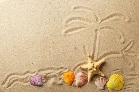 沙滩上的海星与贝壳背景