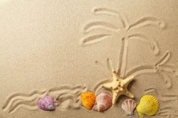 贝壳图案沙滩上的海星与贝壳高清图片