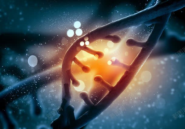 DNA结构jpg设计背景_新图网 https://ixintu.com DNA双螺旋结构图片 DNA结构 DNA结构图片 DNA结构图片素材下载 其它类别 医学 医学背景图片 医疗卫生科学 图片素材 细胞 背景花边