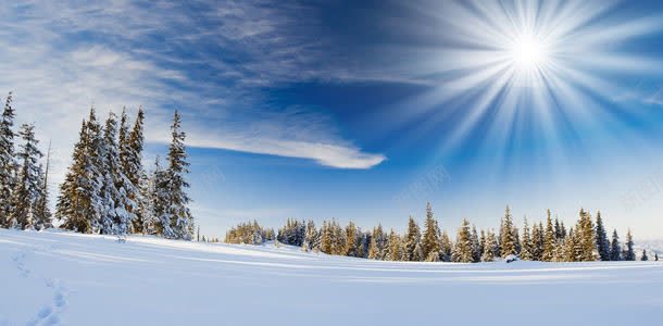 冬季雪景插画冬季风光背景背景