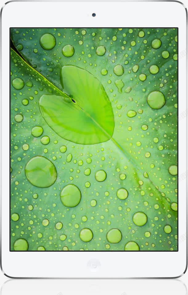 屏保手机绿色叶子jpg设计背景_新图网 https://ixintu.com 叶子 手机 绿色