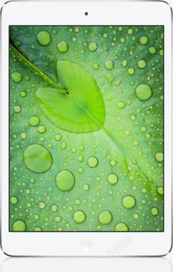 绿色屏保屏保手机绿色叶子高清图片