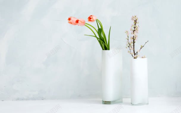 室内简约花瓶花朵瓶装花装饰白色背景背景