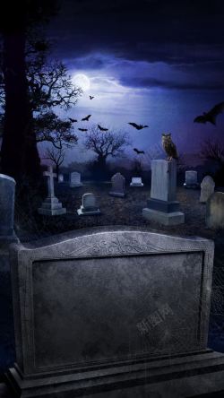蝙蝠墓地墓地高清图片