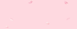 高光粉色粉底粉底粉色花瓣海报背景高清图片