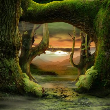 古老树木树洞游戏环境渲染效果背景