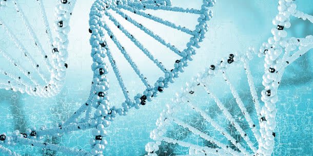 DNA头脑DNA基因背景