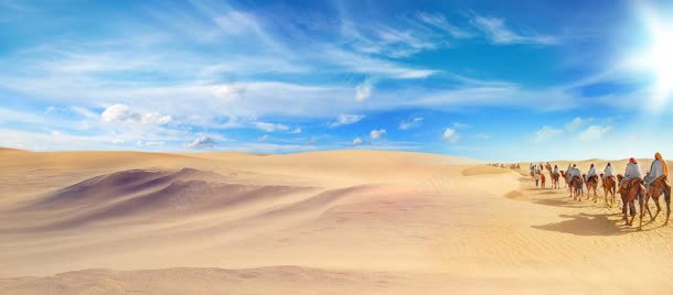 沙漠骆驼宽屏背景背景