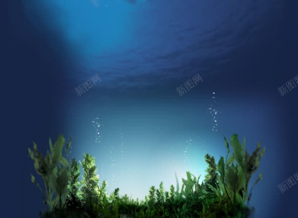 深海下的一片绿水草jpg设计背景_新图网 https://ixintu.com 水草 深海