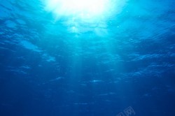 水底世界水下摄影水底世界高清图片