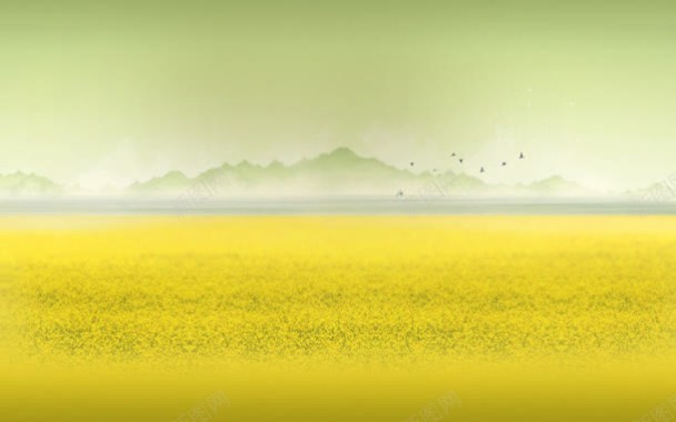 黄色油菜花渲染效果背景背景