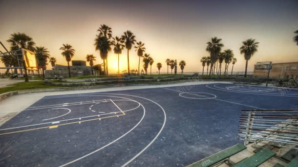 南方热带椰树篮球场背景
