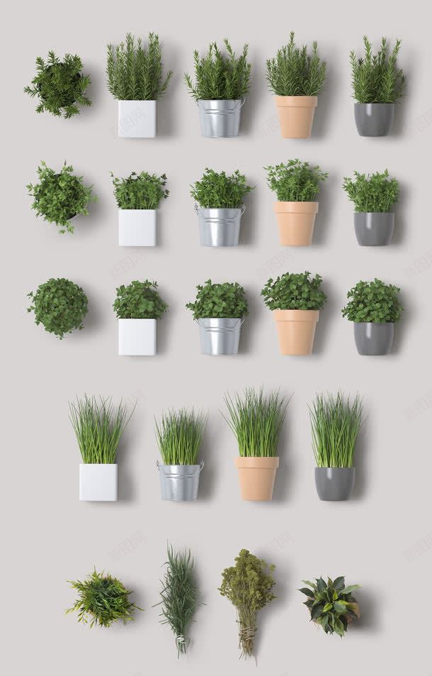 室内绿植净化空气植物jpg设计背景_新图网 https://ixintu.com 净化 室内 植物 空气