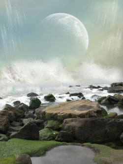 海边岩石装饰画海边的石头高清图片