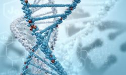 遗传学遗传基因DNA结构高清图片