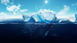 海面上的小岛海面上的冰山北极熊海鸥海报背景高清图片